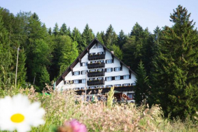 Hotel Tisa Pohorje Hočko Pohorje